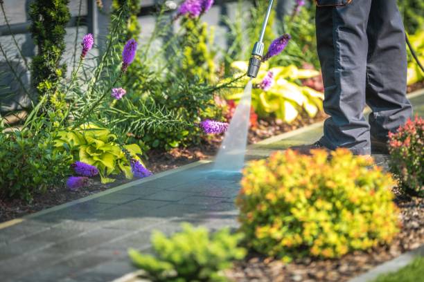 Best Dumpster Area Cleaning  in Mays Landing, NJ