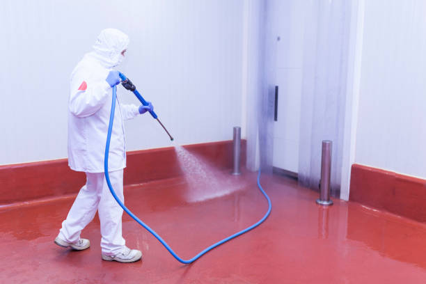 Best Roof Washing  in Mays Landing, NJ