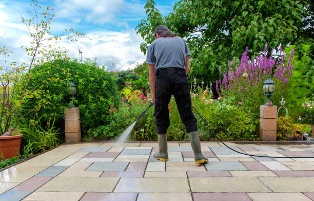 Best Sidewalk and Walkway Cleaning  in Mays Landing, NJ