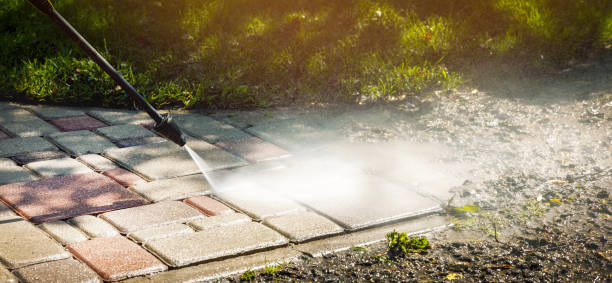 Best Gutter Cleaning  in Mays Landing, NJ